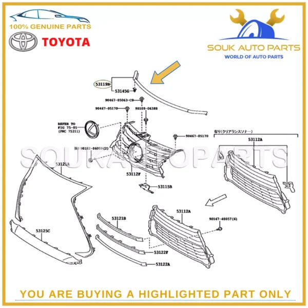 53119-53060 Genuine Toyota PROTECTOR, RADIATOR GRILLE 5311953060 IS200t IS250