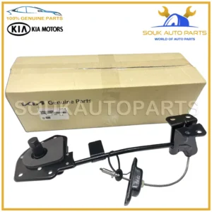 62800-A9000 Genuine Hyundai / KIA CARRIER ASSY-SPARE WHEEL